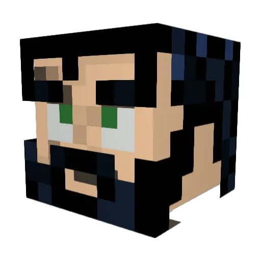TechnoNinja__ Minecraft avatar head, 3D render