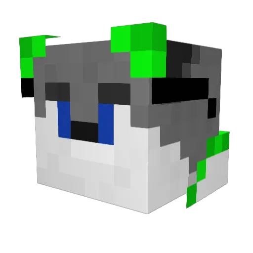 TechnoWolfEver Minecraft avatar head, 3D render