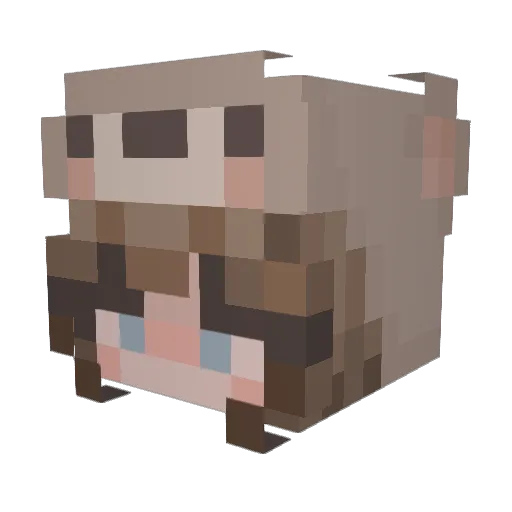 Techno_cube12 Minecraft avatar head, 3D render