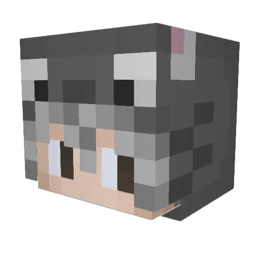 Techno_one Minecraft avatar head, 3D render