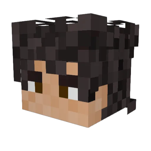 Technomancer53 Minecraft avatar head, 3D render