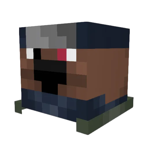 Technoxelitez Minecraft avatar head, 3D render