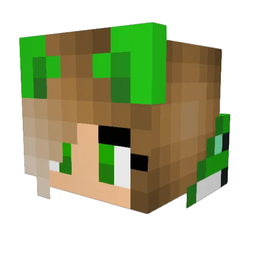Techwolfie Minecraft avatar head, 3D render