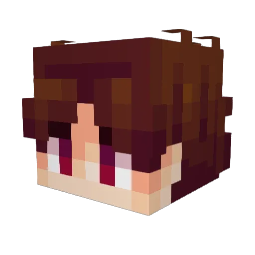 TechyCraft_YT Minecraft avatar head, 3D render