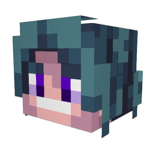 Techz67 Minecraft avatar head, 3D render