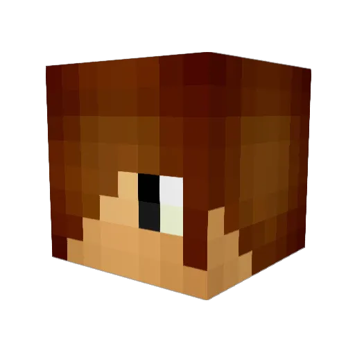 Teck00 Minecraft avatar head, 3D render