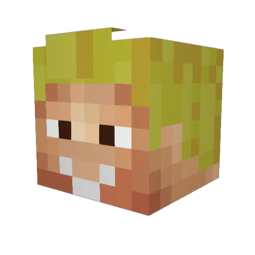 TeckTick Minecraft avatar head, 3D render