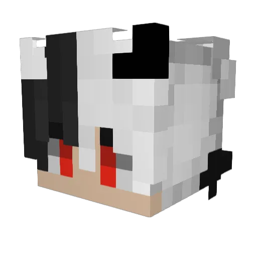 Tecleino Minecraft avatar head, 3D render