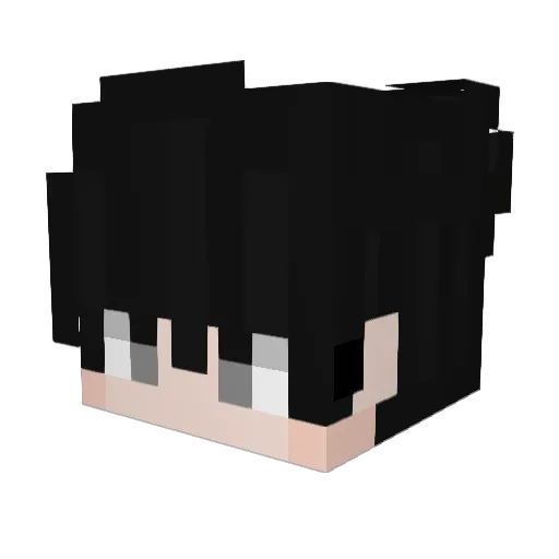 TecnoCat555 Minecraft avatar head, 3D render