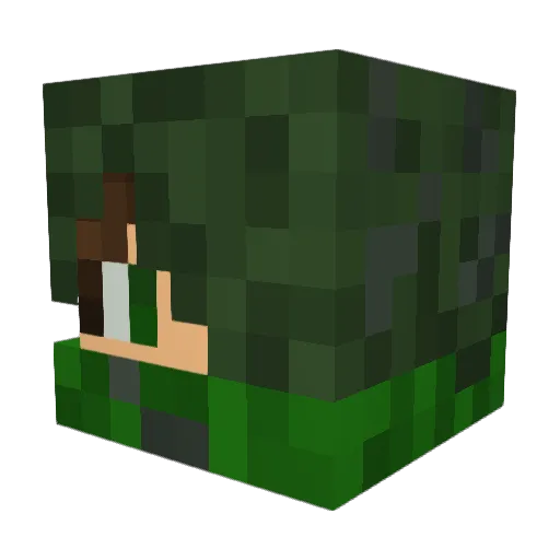 TecnoCode Minecraft avatar head, 3D render