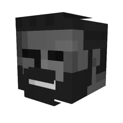Tectass20 Minecraft avatar head, 3D render