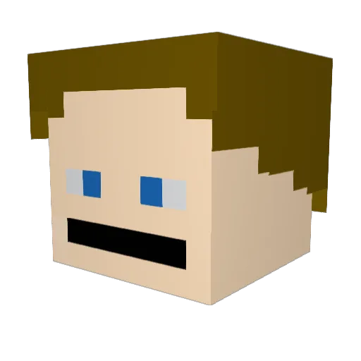 Tecumseh101 Minecraft avatar head, 3D render