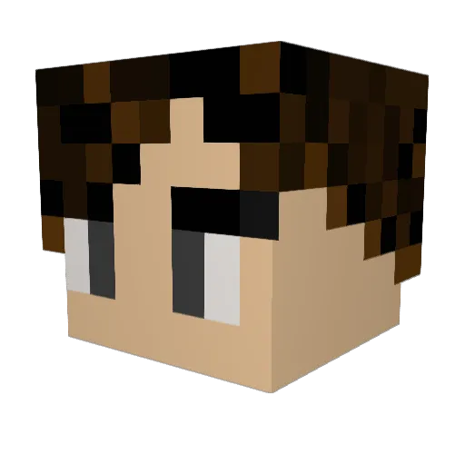 Ted321 Minecraft avatar head, 3D render