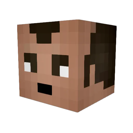 Ted3444 Minecraft avatar head, 3D render