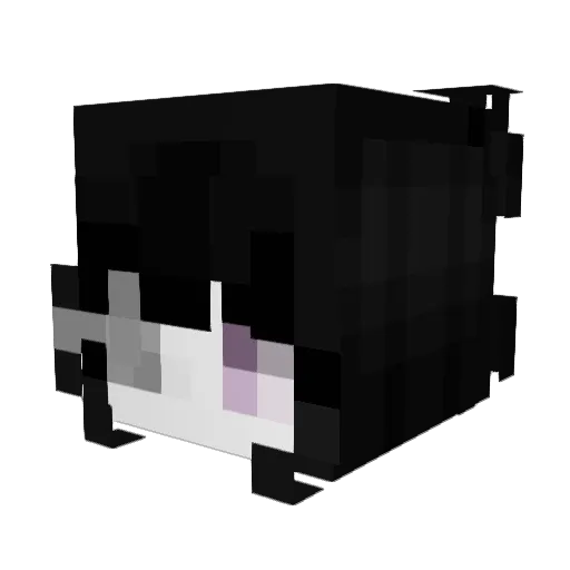Ted3481 Minecraft avatar head, 3D render