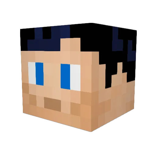 Ted420 Minecraft avatar head, 3D render