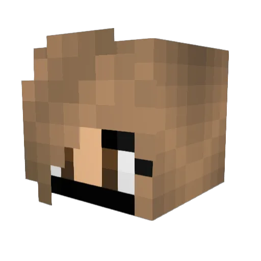 Ted5525 Minecraft avatar head, 3D render