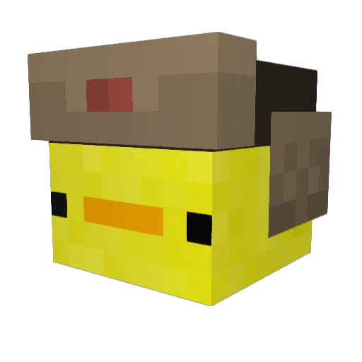 TedBeer6 Minecraft avatar head, 3D render