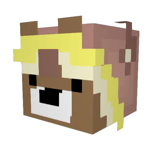 TedKing_MC Minecraft avatar head, 3D render