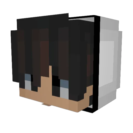 TedThePerson Minecraft avatar head, 3D render