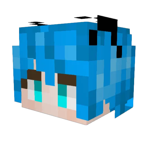 TedZyzsdy Minecraft avatar head, 3D render