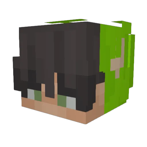 Ted_69 Minecraft avatar head, 3D render