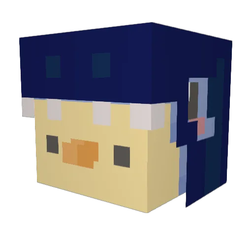 Teddy1324 Minecraft avatar head, 3D render