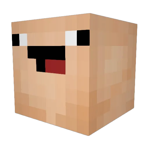 Teddy55431 Minecraft avatar head, 3D render