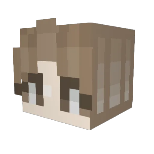 Teddy648 Minecraft avatar head, 3D render