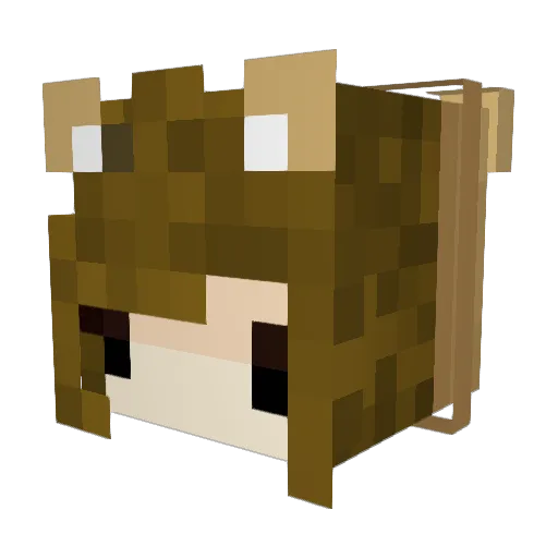 TeddyBare Minecraft avatar head, 3D render