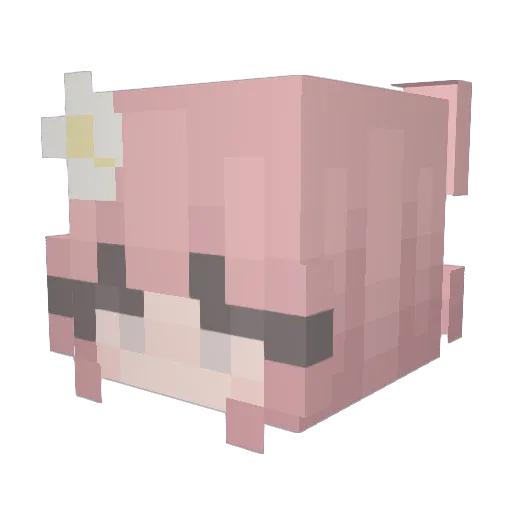 TeddyBites Minecraft avatar head, 3D render