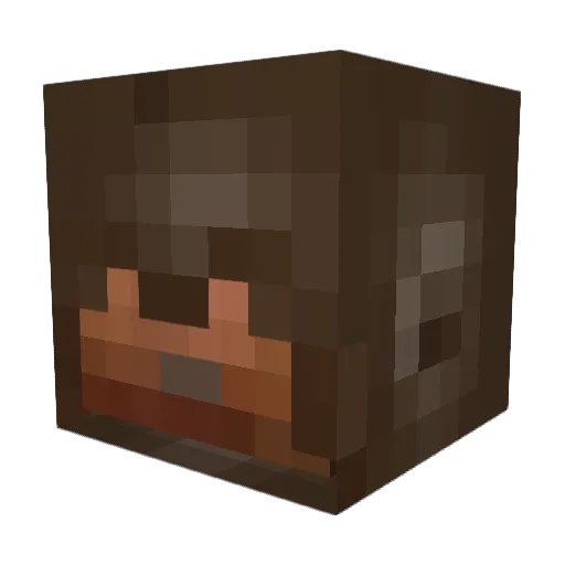 TeddyBoar99 Minecraft avatar head, 3D render