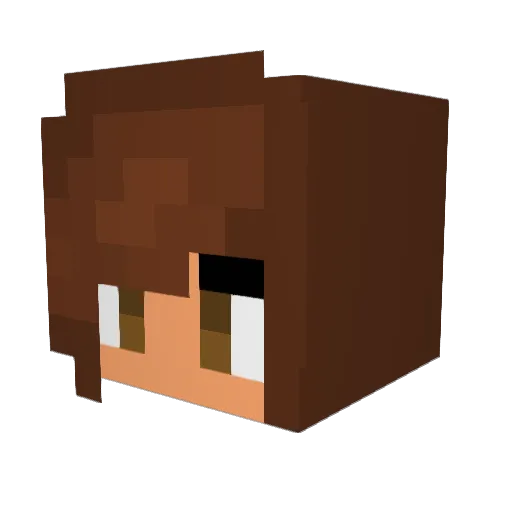 TeddyCraft44 Minecraft avatar head, 3D render