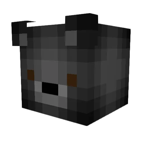 TeddyHatesBugs Minecraft avatar head, 3D render