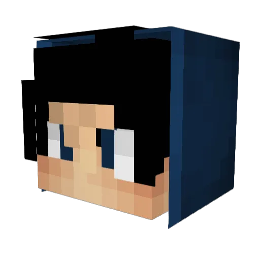 TeddyJerms Minecraft avatar head, 3D render