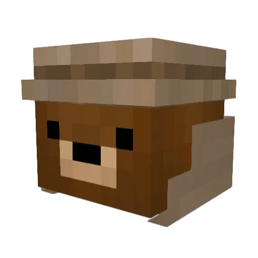 TeddyLaacis Minecraft avatar head, 3D render