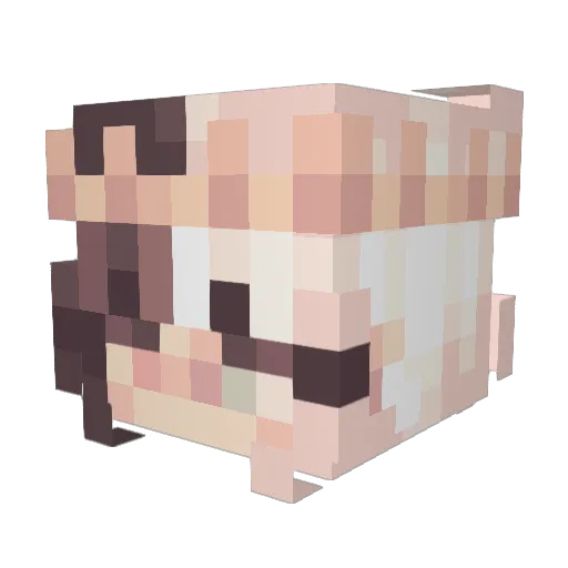 TeddyPug6611 Minecraft avatar head, 3D render