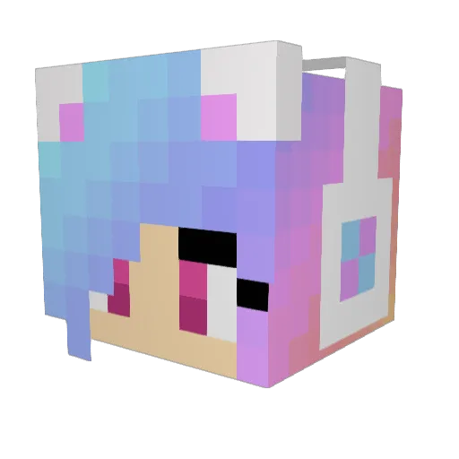 TeddyReagan Minecraft avatar head, 3D render