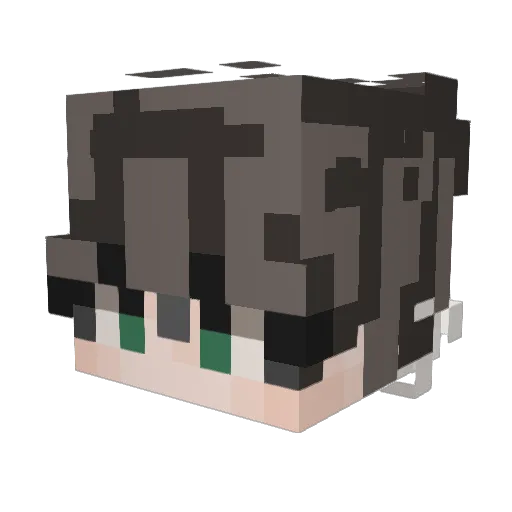 Teddy_562 Minecraft avatar head, 3D render