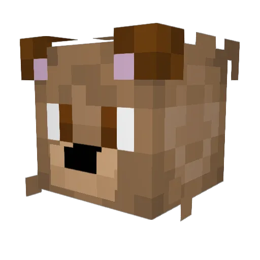 Teddy_Boltz Minecraft avatar head, 3D render