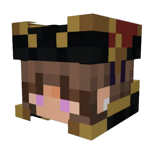 Teddy_Boy4104 Minecraft avatar head, 3D render
