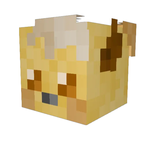 Teddy_Loaf Minecraft avatar head, 3D render