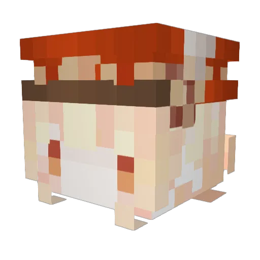 Teddy_Sung Minecraft avatar head, 3D render