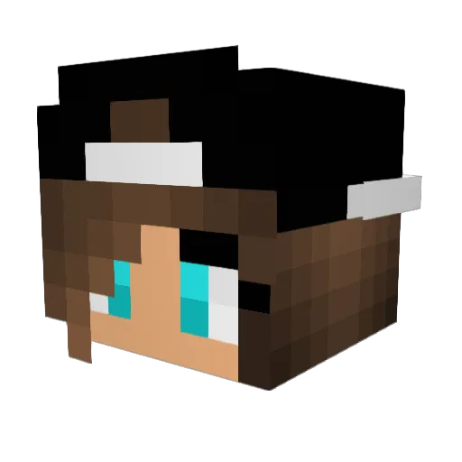 Teddy_bear21 Minecraft avatar head, 3D render