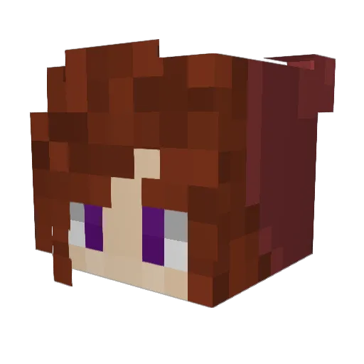 Teddy_exe Minecraft avatar head, 3D render
