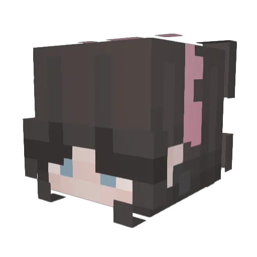 Teddybear1200 Minecraft avatar head, 3D render