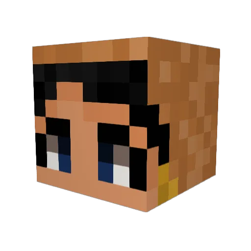 Teddyhugger Minecraft avatar head, 3D render