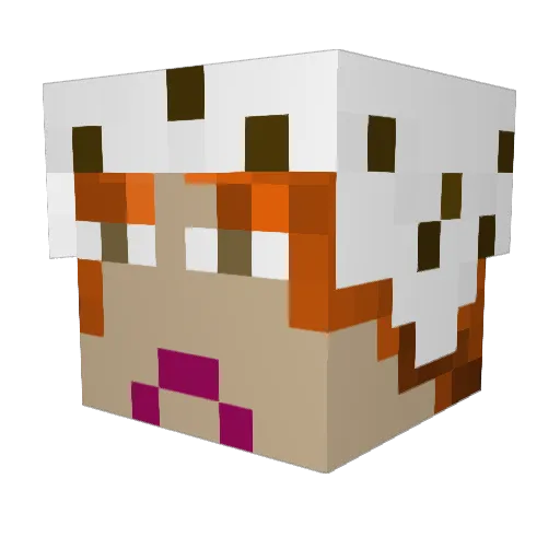 Teddyman244 Minecraft avatar head, 3D render