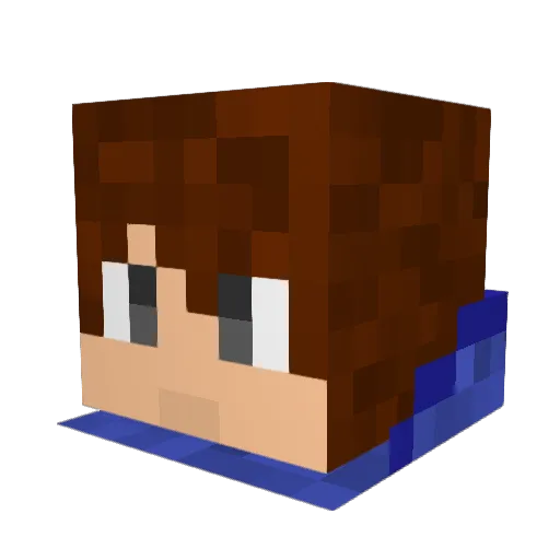 Teddyn03 Minecraft avatar head, 3D render