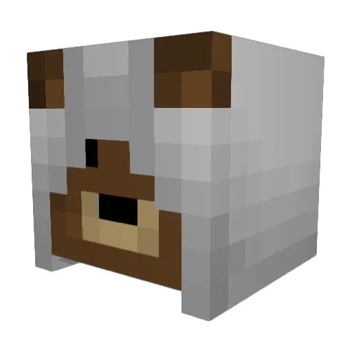 Teddysnatcher Minecraft avatar head, 3D render